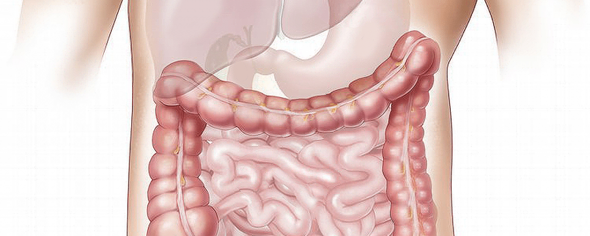 diverticules Consultations de Gastro-entérologie à la Polyclinique de Grande-Synthe