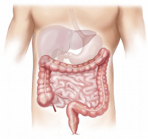 Consultations de Gastro-entérologie à la Polyclinique de Grande-Synthe