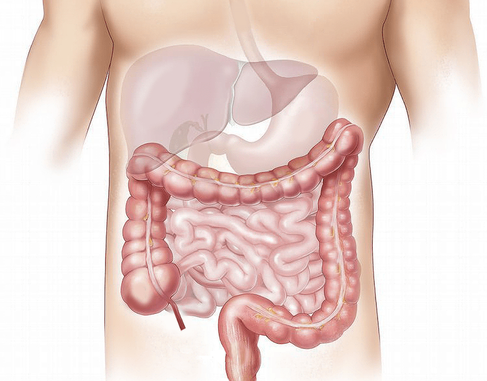 diverticules Consultations de Gastro-entérologie à la Polyclinique de Grande-Synthe