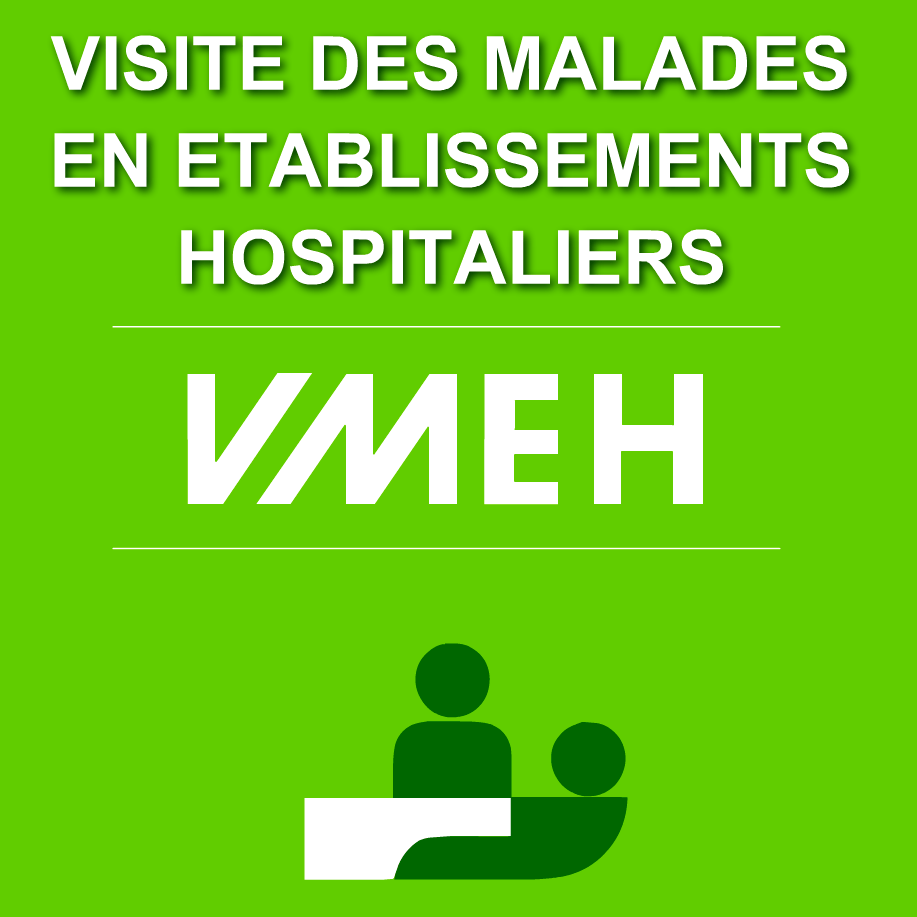 VMEH